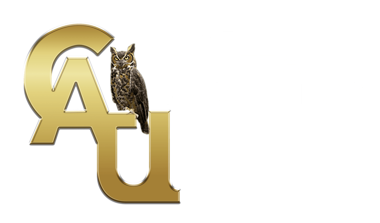 Cotne Uriostegui & Asociados